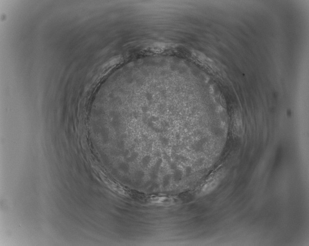 X0000078841105200611201306