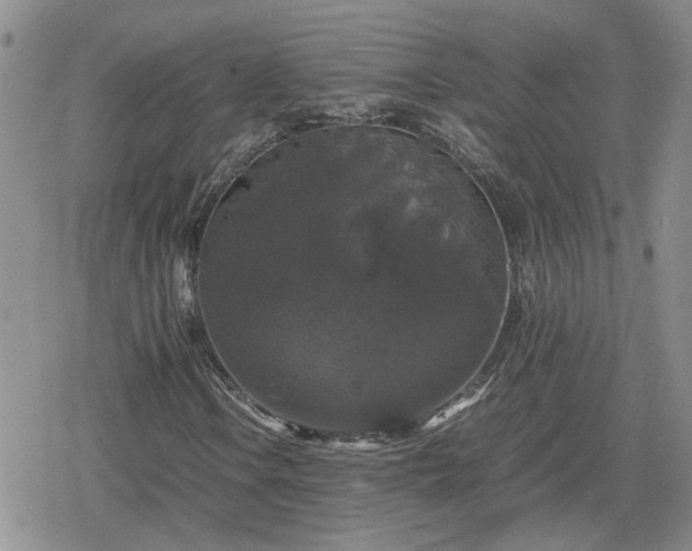 X0000078841106200611201306