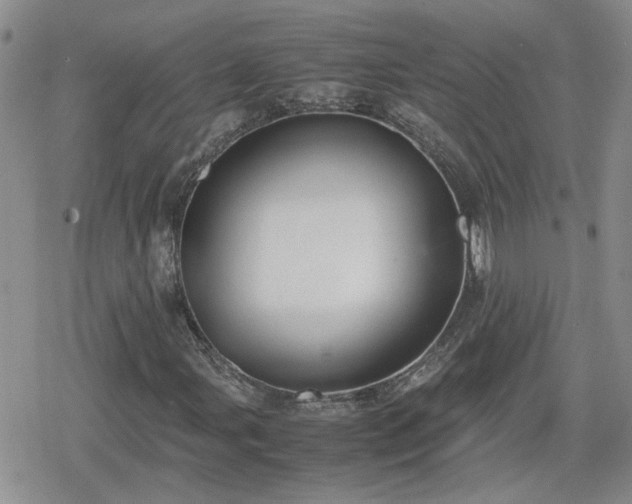 X0000078841107200611201306