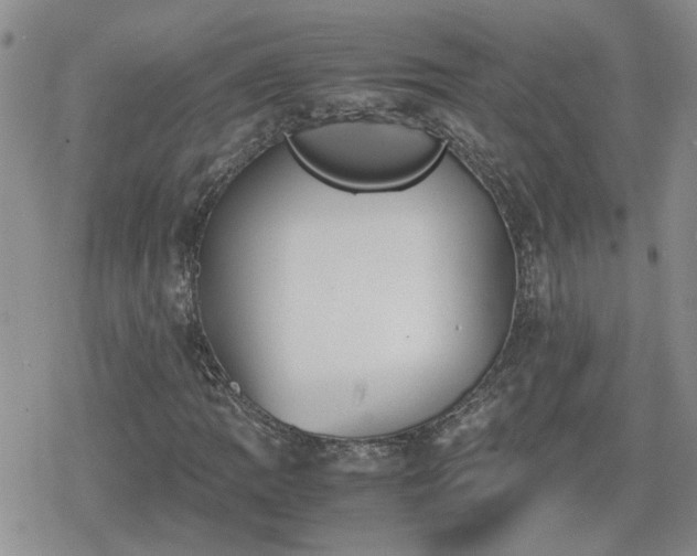 X0000078841109200611201306