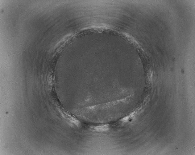 X0000078841110200611201306