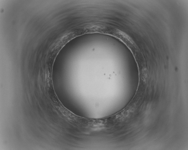 X0000078841111200611201306