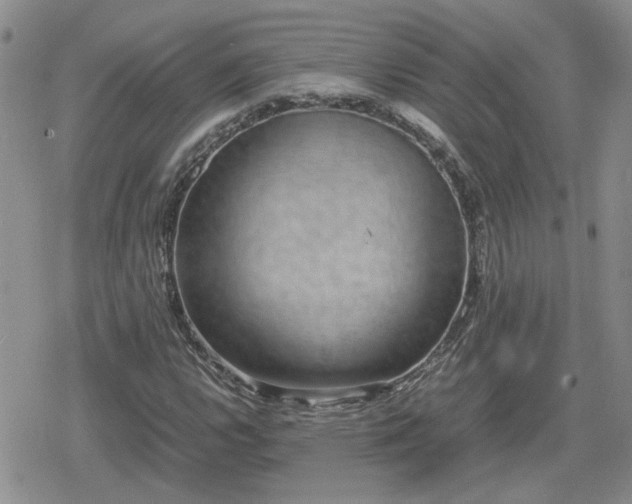 X0000078841112200611201306