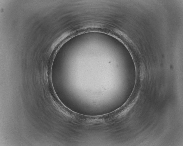 X0000078841113200611201306