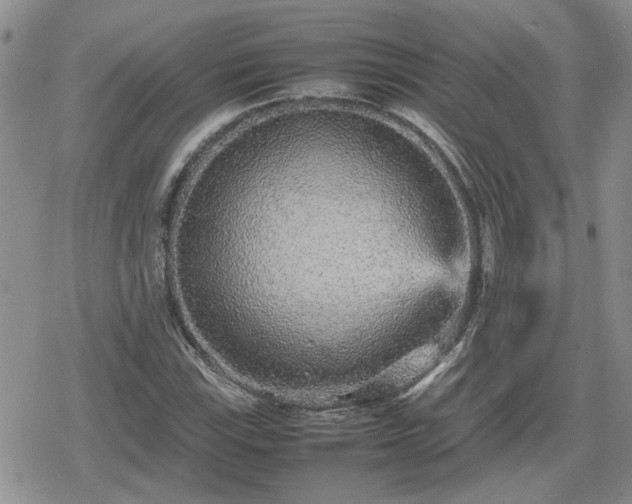 X0000078841115200611201306