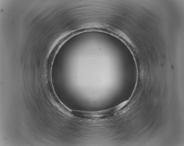 X0000078841116200611201306