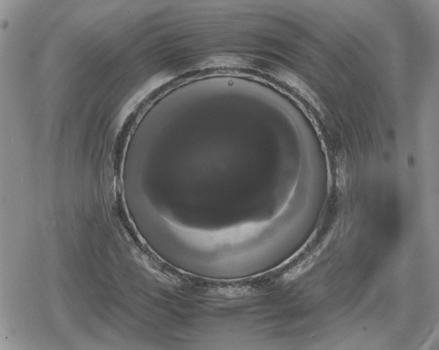 X0000078841117200611201306