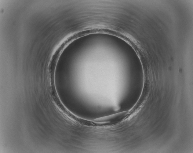 X0000078841118200611201306