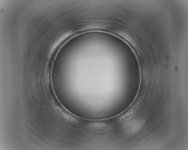 X0000078841119200611201306