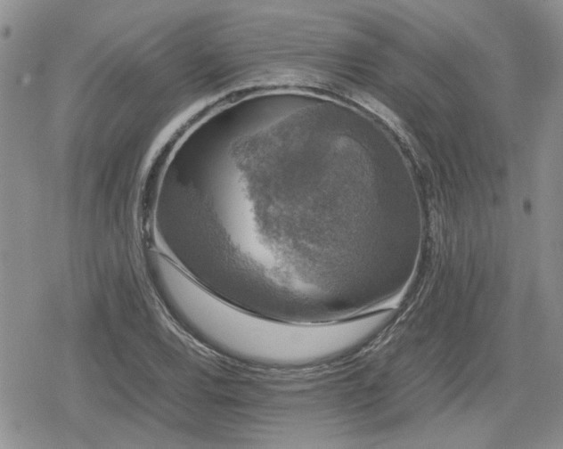 X0000078841120200611201306