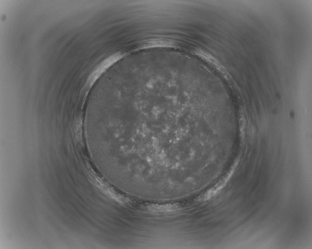 X0000078841121200611201306