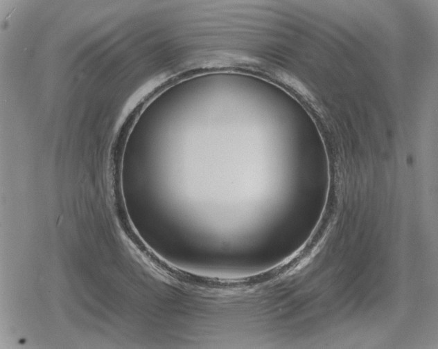 X0000078841122200611201306