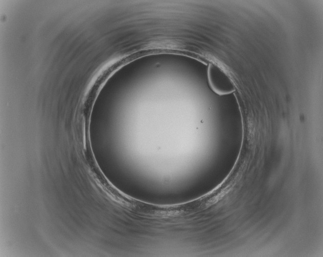 X0000078841123200611201306