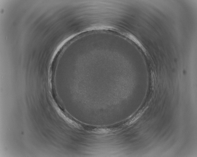 X0000078841124200611201306