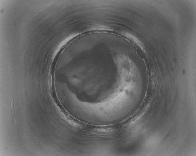 X0000078841125200611201306