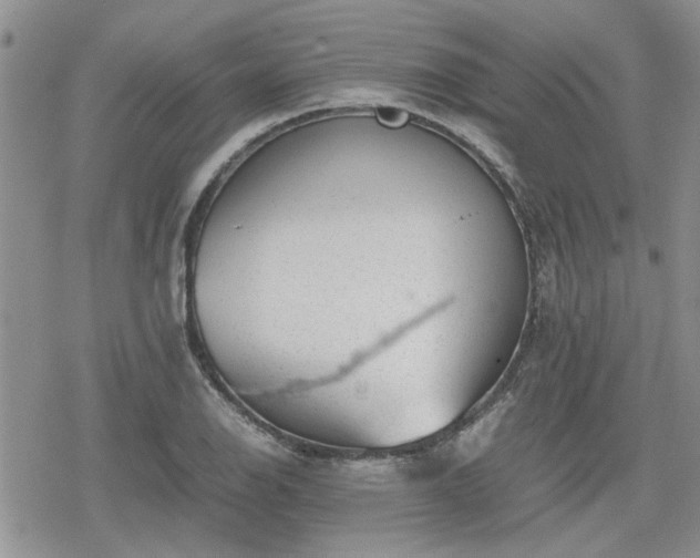 X0000078841126200611201306