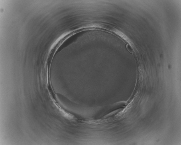 X0000078841127200611201306