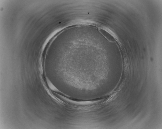 X0000078841128200611201306