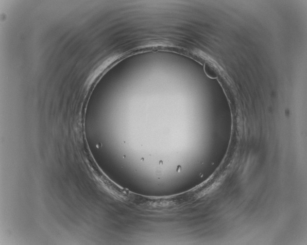 X0000078841129200611201306