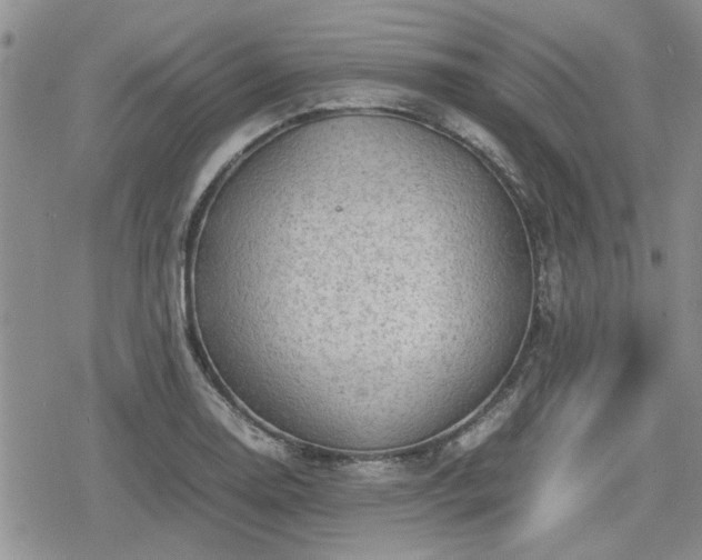 X0000078841130200611201306