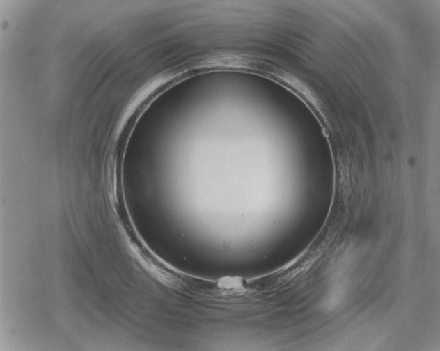 X0000078841131200611201306