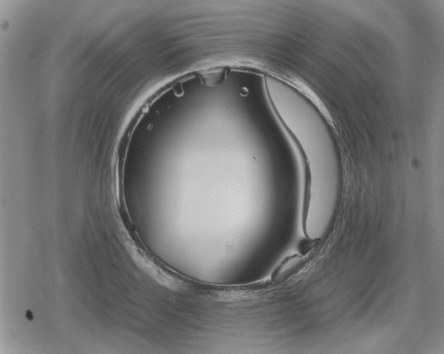 X0000078841132200611201306