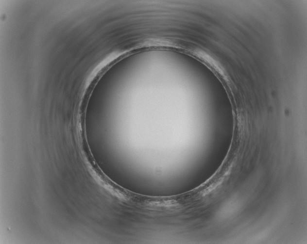 X0000078841133200611201306