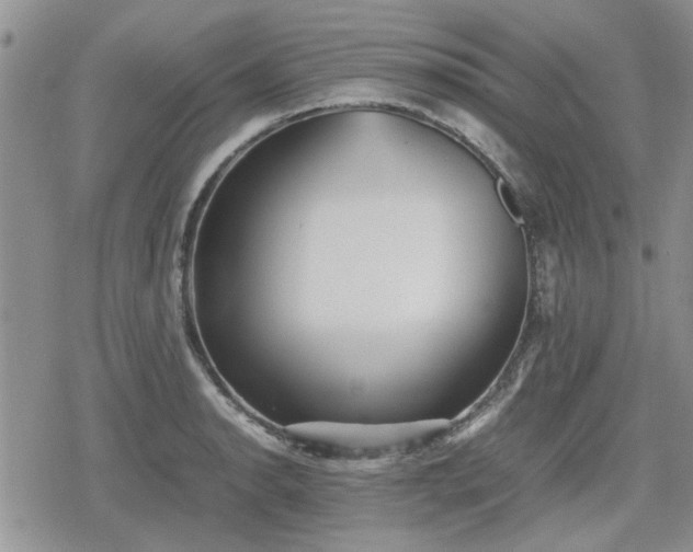 X0000078841134200611201306