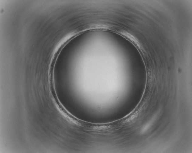 X0000078841135200611201306