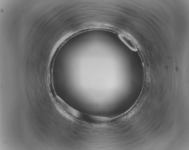 X0000078841136200611201306