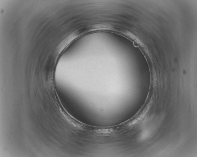 X0000078841137200611201306