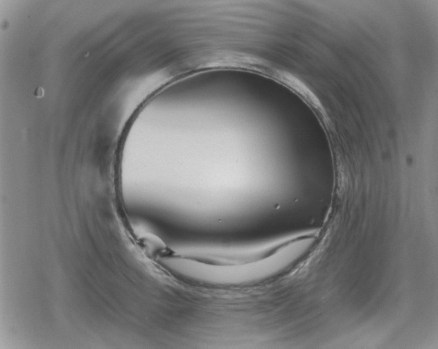 X0000078841138200611201306