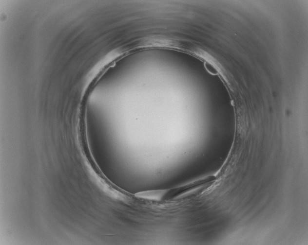 X0000078841139200611201306