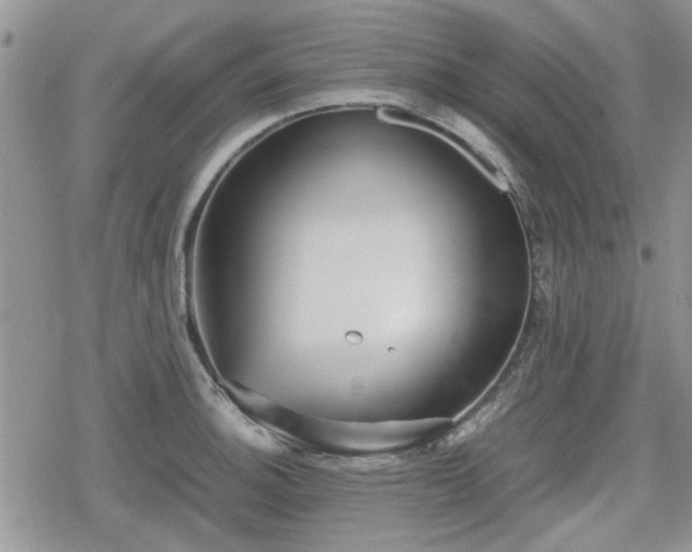 X0000078841140200611201307