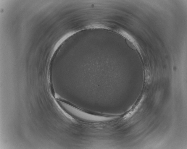 X0000078841141200611201307