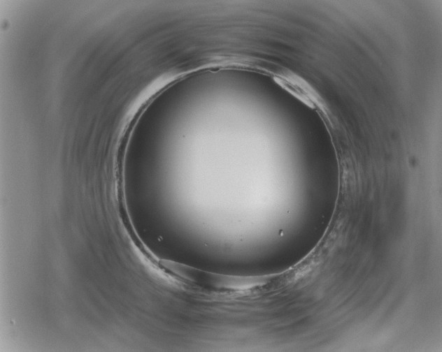 X0000078841143200611201307