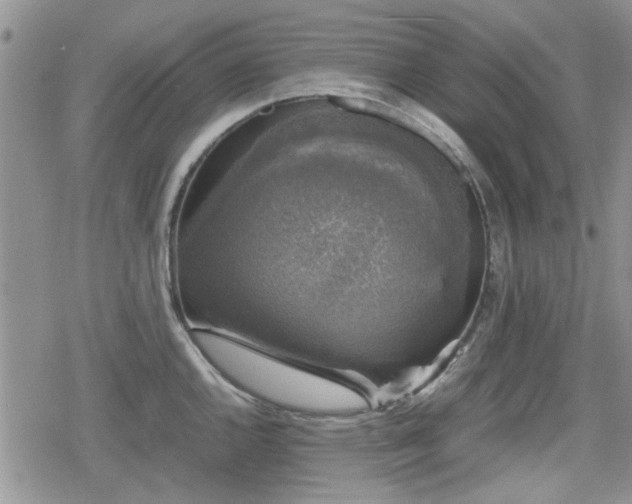 X0000078841144200611201307