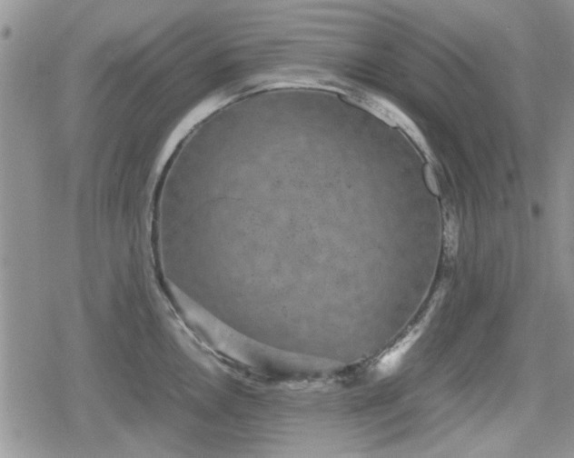 X0000078841146200611201307