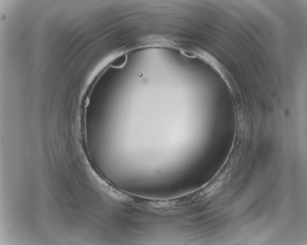 X0000078841147200611201307