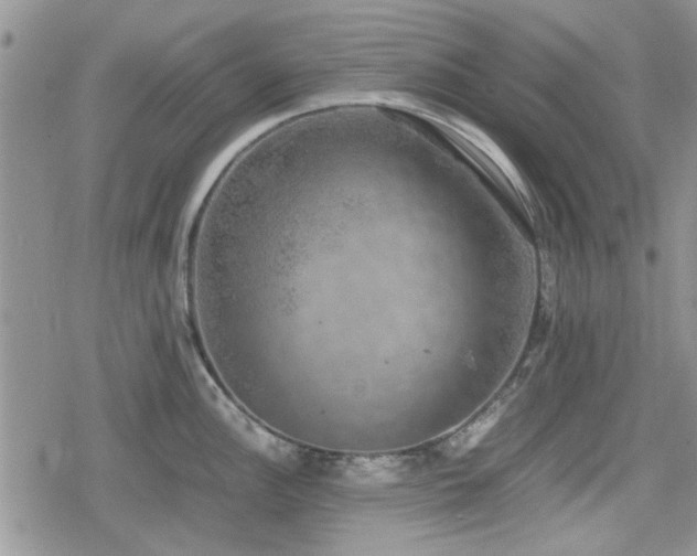 X0000078841148200611201307