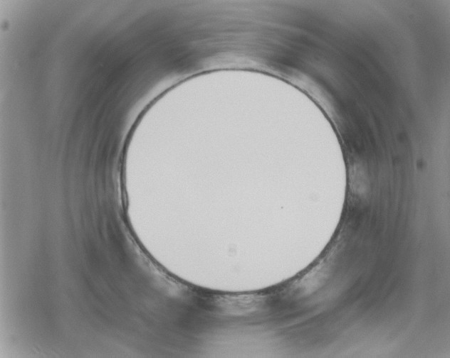 X0000078841150200611201307