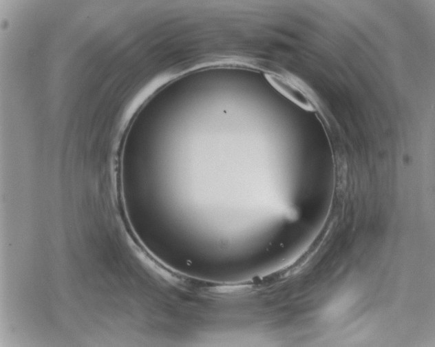 X0000078841151200611201307