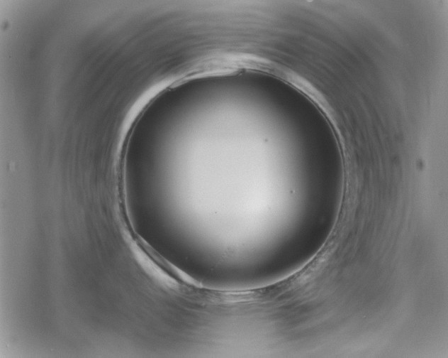 X0000078841152200611201307