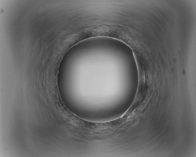 X0000078841153200611201306