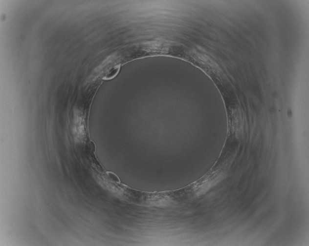 X0000078841154200611201306