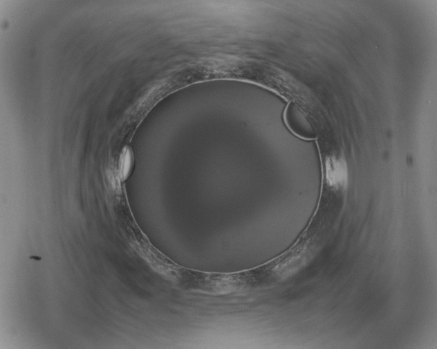 X0000078841155200611201306