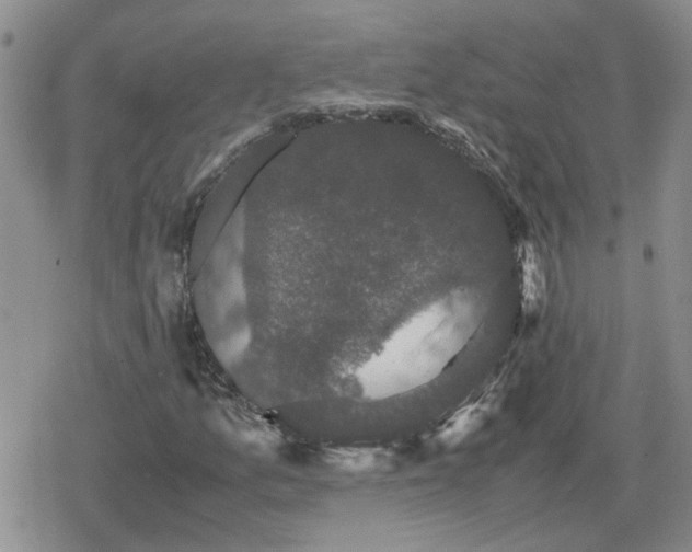 X0000078841157200611201306