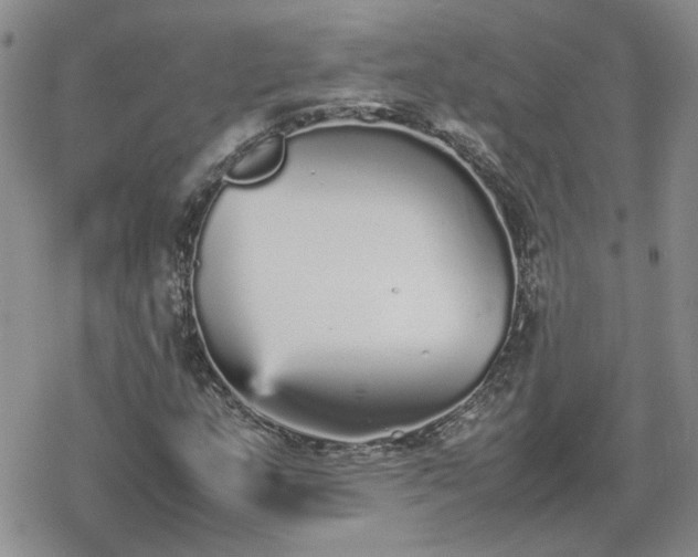 X0000078841159200611201306