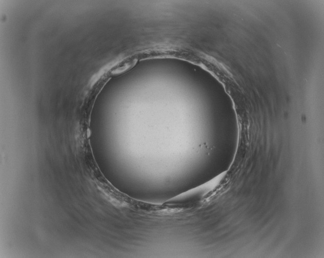 X0000078841160200611201306