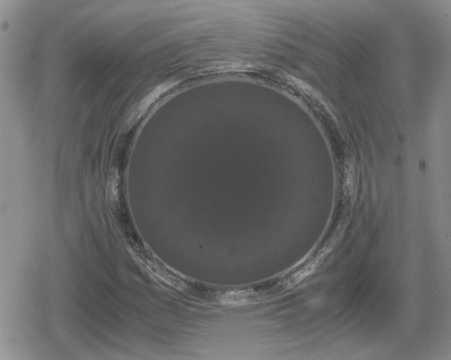 X0000078841161200611201306